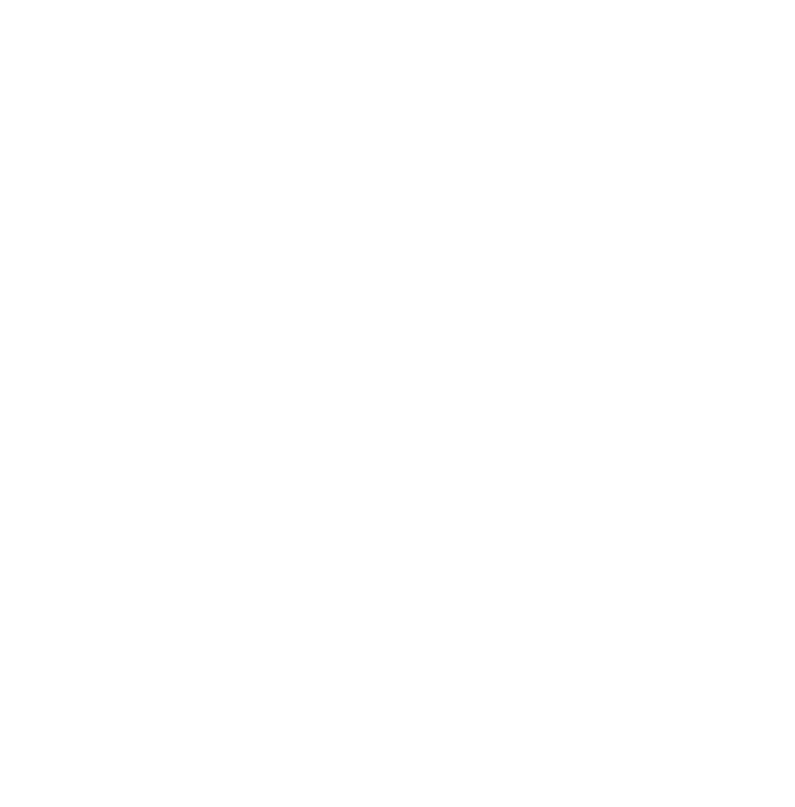 Pegasus Academy